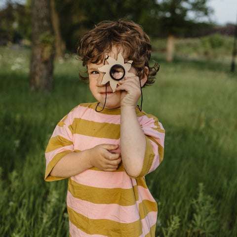 facetoog Spriet insect