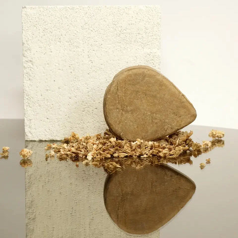 Shampoo Bar Kracht & Volume (Bier)