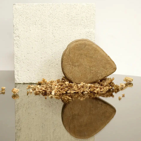 Shampoo Bar Kracht & Volume (Bier)