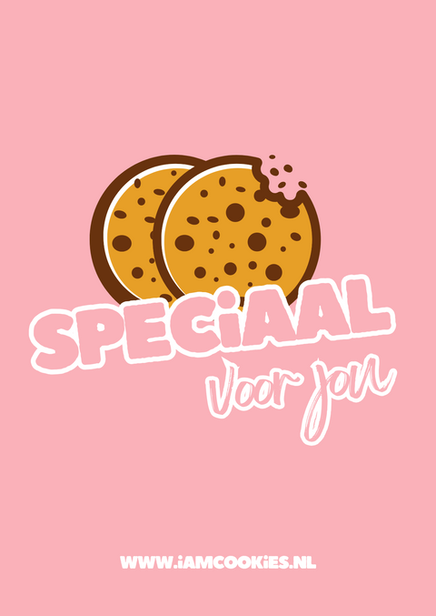 GLUTENVRIJ Salted Chocolate Chip Cookies