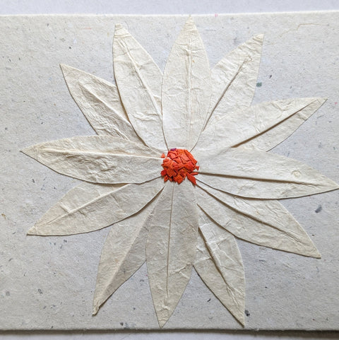 Handmade Recycled Paper Greeting Cards – Pack of 5