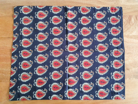 Bagru paisley block - printed placemats set of 2, handmade table mats - Shakti.ism | शक्तिवाद