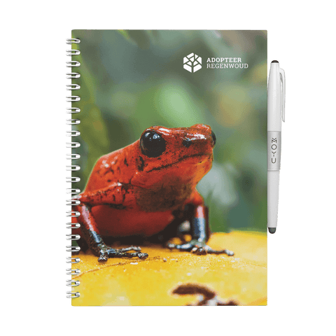 Erasable notebook A5 Adopt Rainforest Reddish Frog front cover