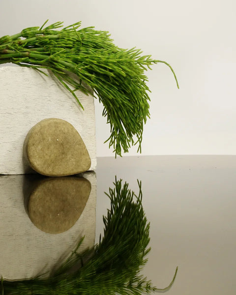 Shampoo Bar Balance &amp; Deep Cleansing (Horsetail)