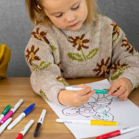 Erasable Felt Pen Marker