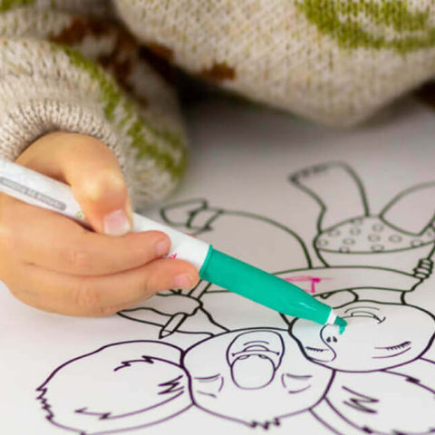 Erasable Felt Pen Marker