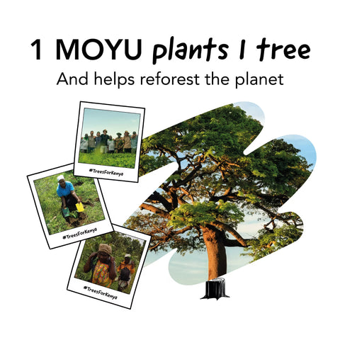 Erasable Notebook A5 - Safari Nights