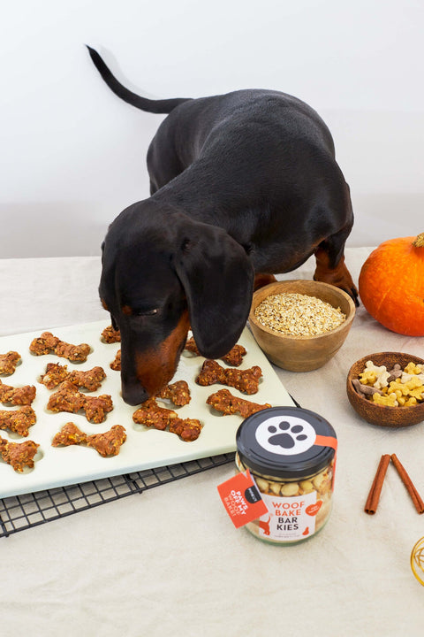 DIY Hondenkoekjes Bakmix |WoofBake | Barkies | Doos met 8 stuks