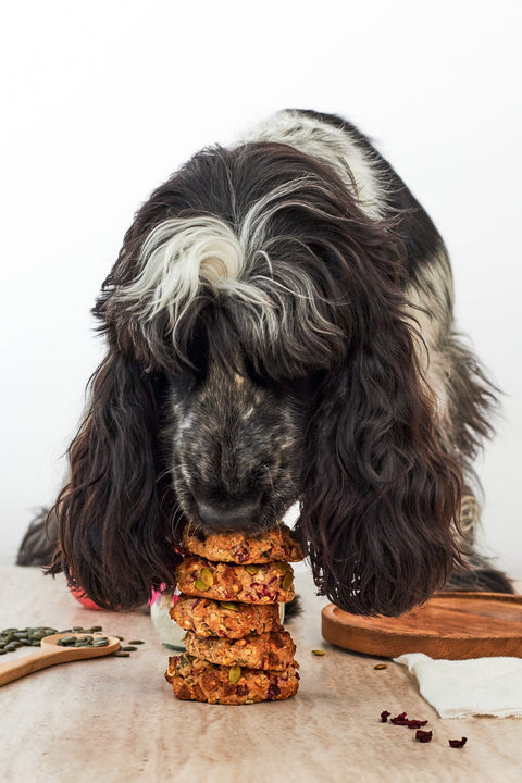 DIY Hondenkoekjes Bakmix | WoofBake | Dognuts | Doos met 8 stuks