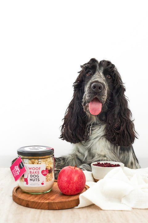DIY Hondenkoekjes Bakmix | WoofBake | Dognuts | Doos met 8 stuks