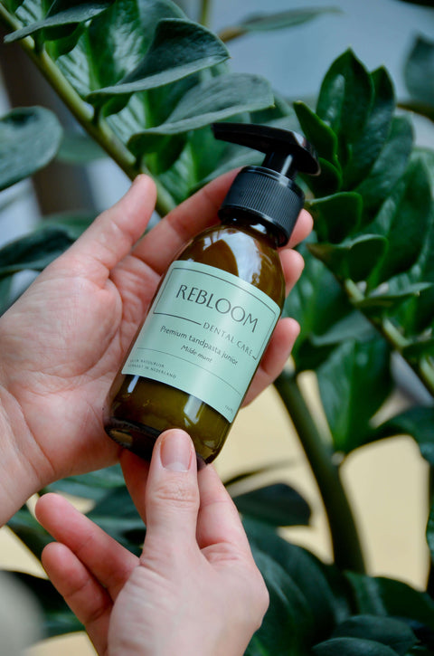 Starter set  -premium tandpasta milde munt