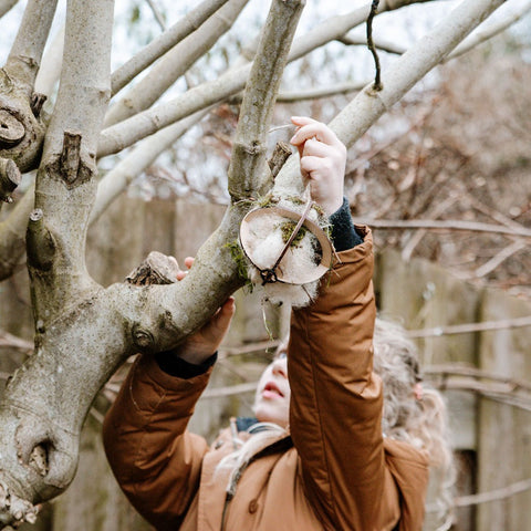 kind hangt bol met warm nest voor vogel in de boom Spriet natuuractiviteit late winterbox