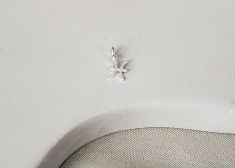 Sterrenbeeld hanger .925 sterling zilver