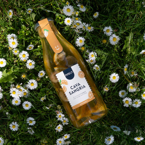 Cava Sangria | verfrissend & feestelijk | BIO
