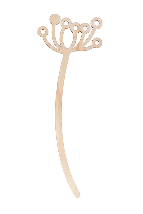 Cow parsley 60cm FSC mix